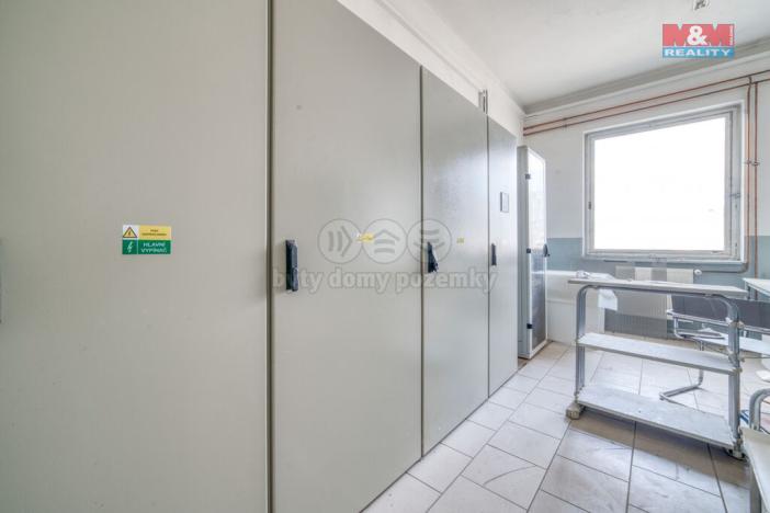 Prodej výrobních prostor, Planá, Zámecká, 2800 m2