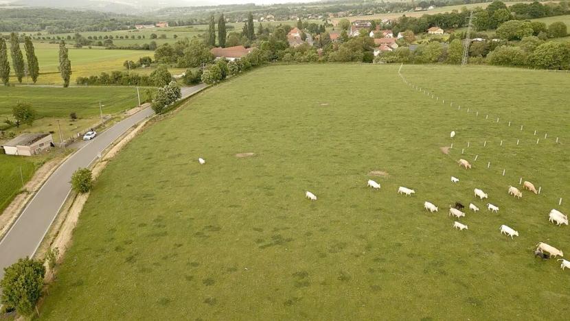 Prodej pozemku pro bydlení, Skuhrov, 769 m2