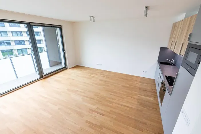 Prodej bytu 1+kk, Praha - Žižkov, Seifertova, 44 m2