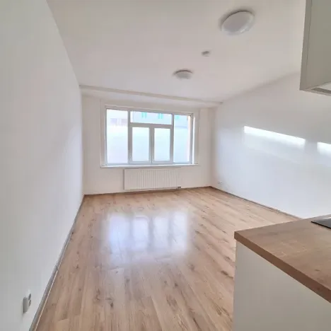 Pronájem bytu 3+kk, Praha - Břevnov, Bělohorská, 76 m2