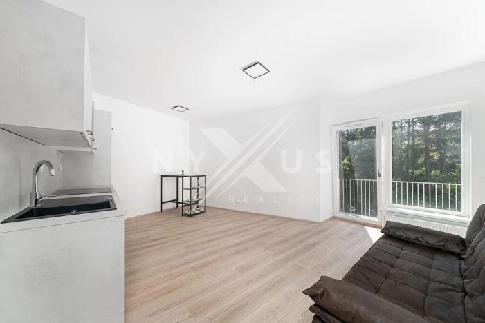 Pronájem bytu 1+kk, Praha - Štěrboholy, Pod areálem, 33 m2