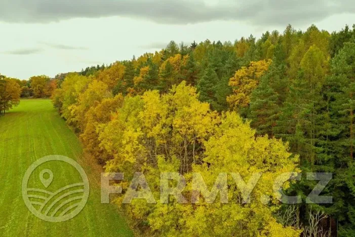 Prodej lesa, Krásná Hora nad Vltavou, 1087255 m2