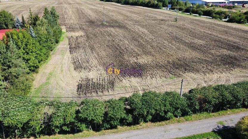 Prodej pozemku pro bydlení, Dobrovice, 3125 m2