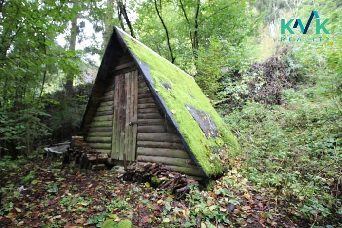 Prodej chaty, Kyselka, 90 m2