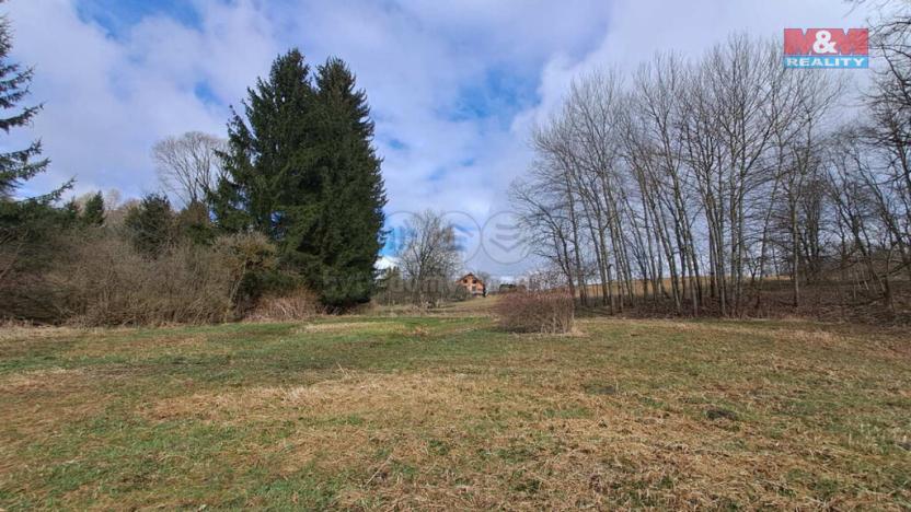 Prodej pozemku pro bydlení, Vikantice, 1968 m2