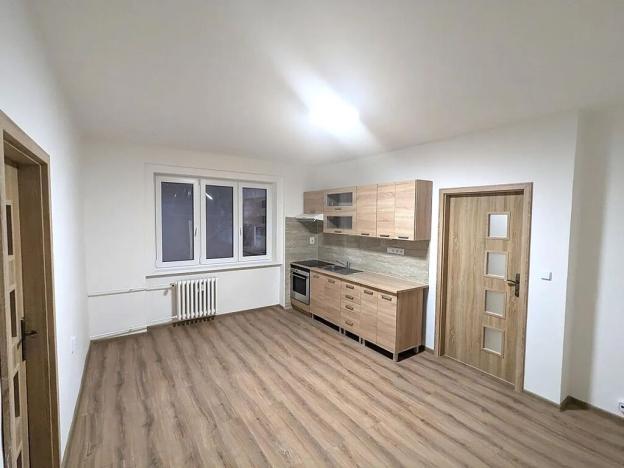 Pronájem bytu 2+kk, Ústí nad Labem, Mlýnská, 55 m2