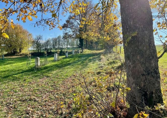 Prodej rodinného domu, Český Rudolec, 83 m2