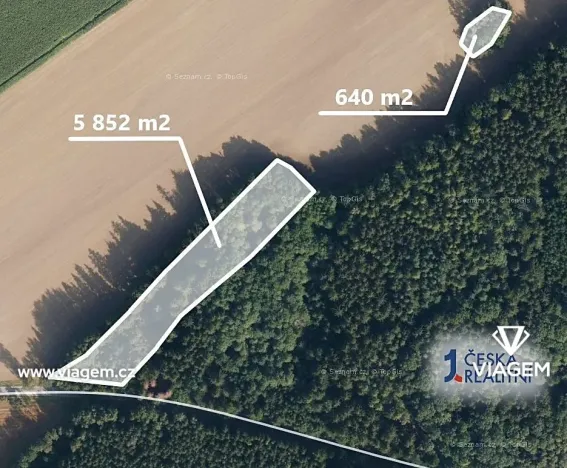 Prodej podílu lesa, Bezděkov pod Třemšínem, 5668 m2