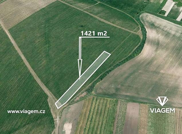 Prodej sadu/vinice, Starovičky, 1421 m2