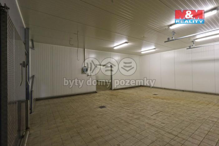 Pronájem výrobních prostor, Čáslav - Čáslav-Nové Město, Pod Nádražím, 80 m2