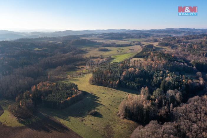 Prodej lesa, Nalžovské Hory - Nalžovy, 25838 m2