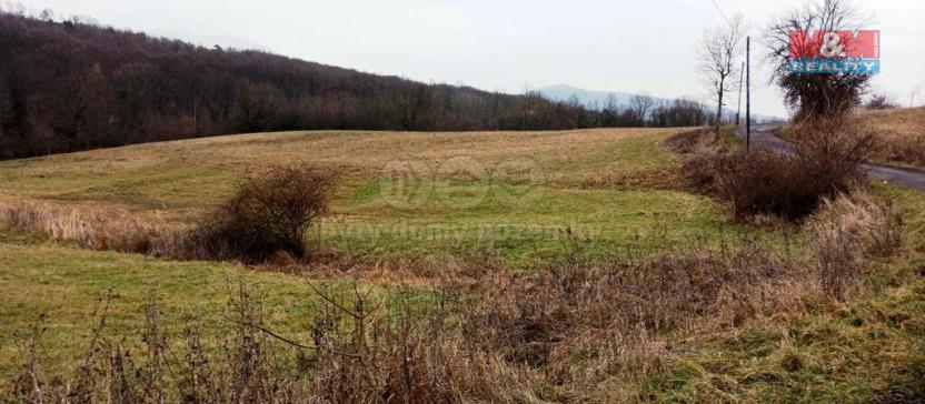 Prodej louky, Třebušín, 8010 m2