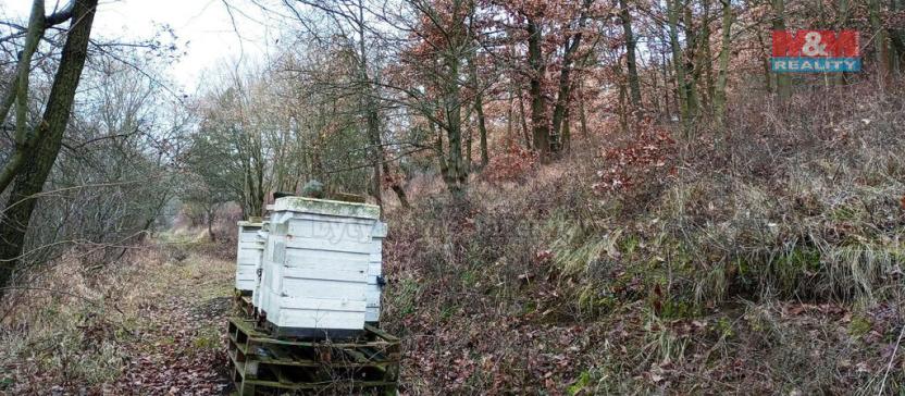 Prodej zahrady, Velemín - Oparno, 3561 m2