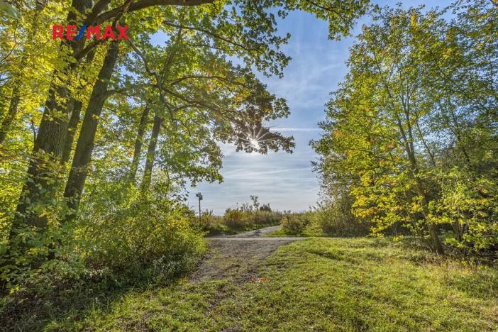 Prodej lesa, Praha - Malá Chuchle, 17570 m2