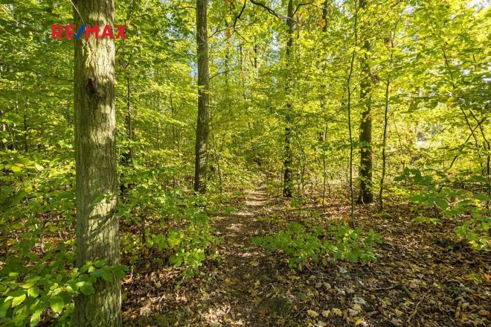 Prodej lesa, Praha - Malá Chuchle, 17570 m2