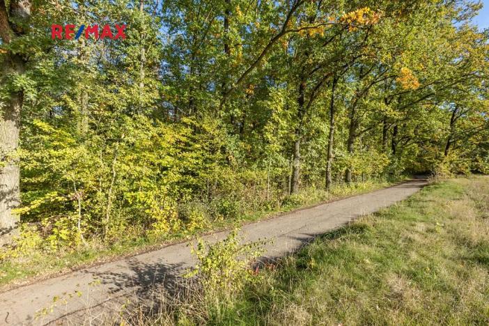 Prodej lesa, Praha - Malá Chuchle, 17570 m2