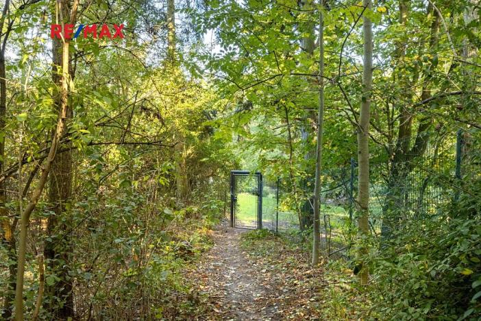 Prodej lesa, Praha - Malá Chuchle, 17570 m2