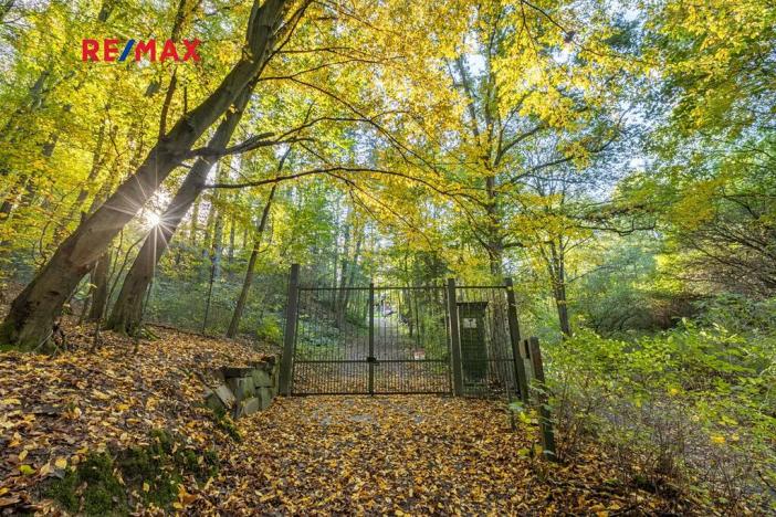 Prodej lesa, Praha - Malá Chuchle, 17570 m2