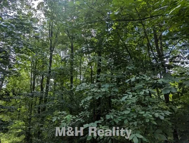 Prodej lesa, Ostravice, 7872 m2