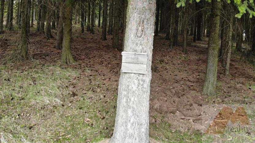 Prodej louky, Stráž nad Ohří, 69991 m2