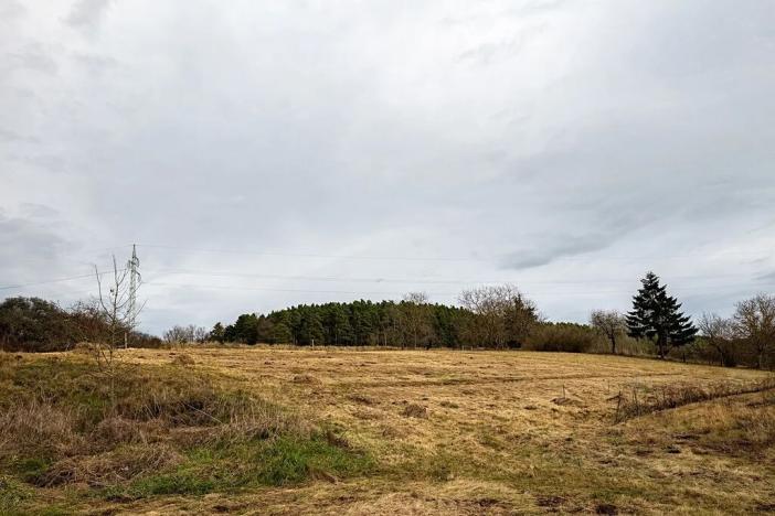 Prodej pozemku pro bydlení, Volyně, 3733 m2