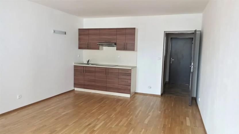 Pronájem bytu 1+kk, Litoměřice, Velká Dominikánská, 30 m2