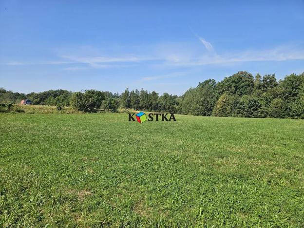 Prodej pozemku pro bydlení, Český Těšín, Školní, 6033 m2