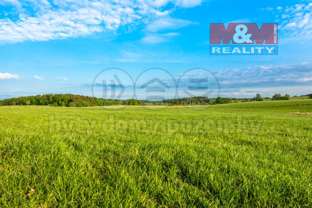 Prodej louky, Příbram - Příbram I, 5225 m2