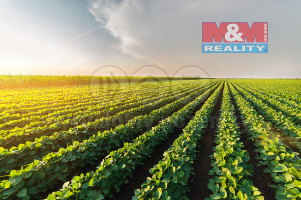 Prodej louky, Příbram - Příbram I, 5225 m2