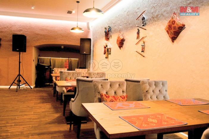 Pronájem ubytování, Praha - Střešovice, Nad hradním vodojemem, 426 m2