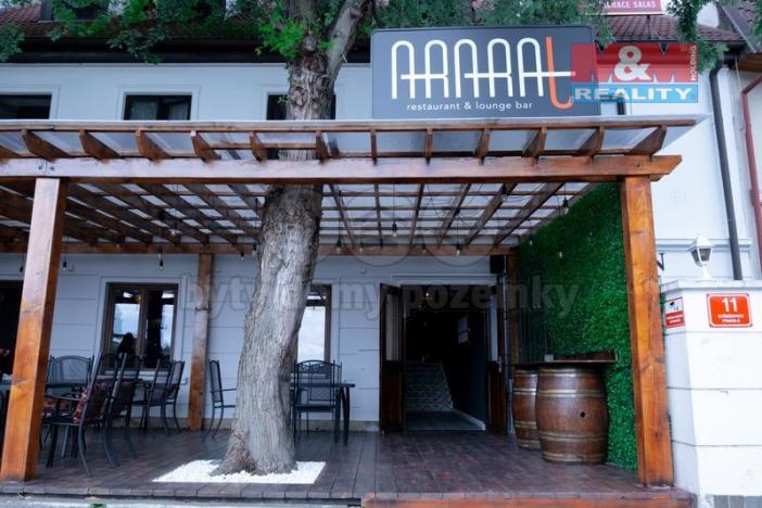 Pronájem ubytování, Praha - Střešovice, Nad hradním vodojemem, 426 m2