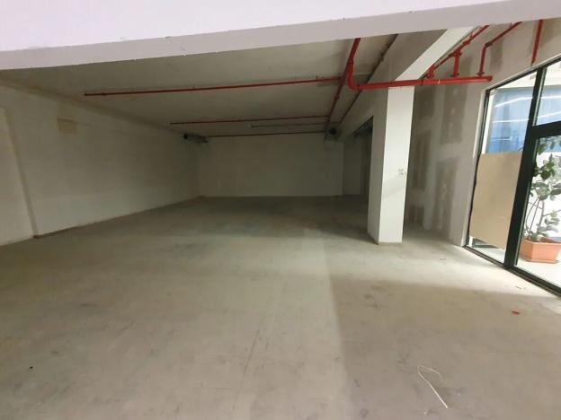 Pronájem obchodního prostoru, Praha - Řepy, Makovského, 800 m2