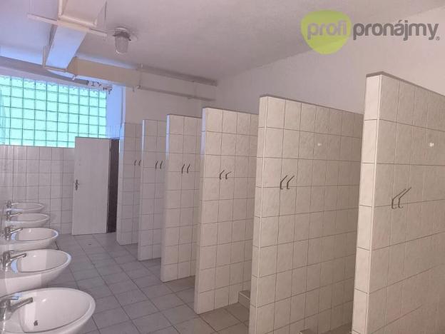 Pronájem skladu, Ostrava, Novoveská, 207 m2