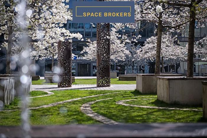 Pronájem kanceláře, Praha - Holešovice, Jankovcova, 330 m2