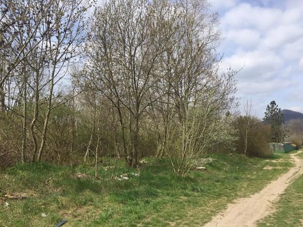 Prodej pozemku pro bydlení, Lovosice, Terezínská, 6912 m2