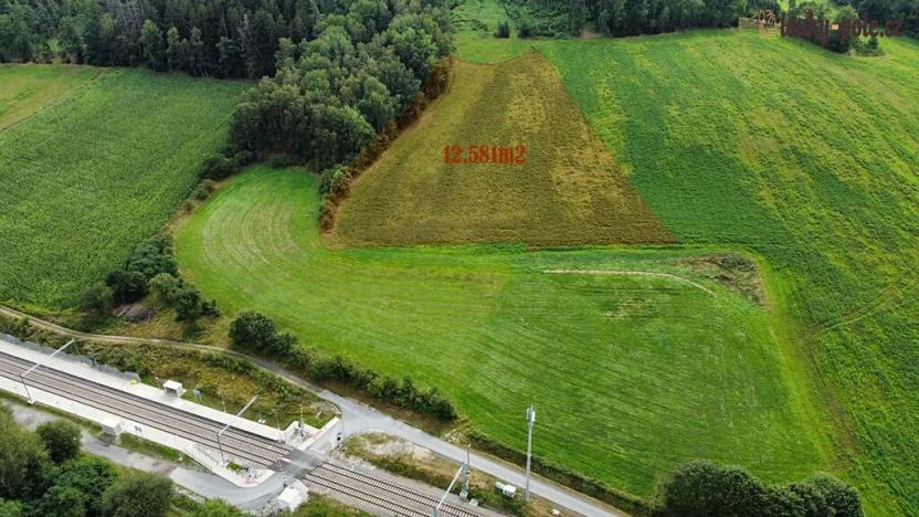 Prodej pole, Kovčín, 60542 m2