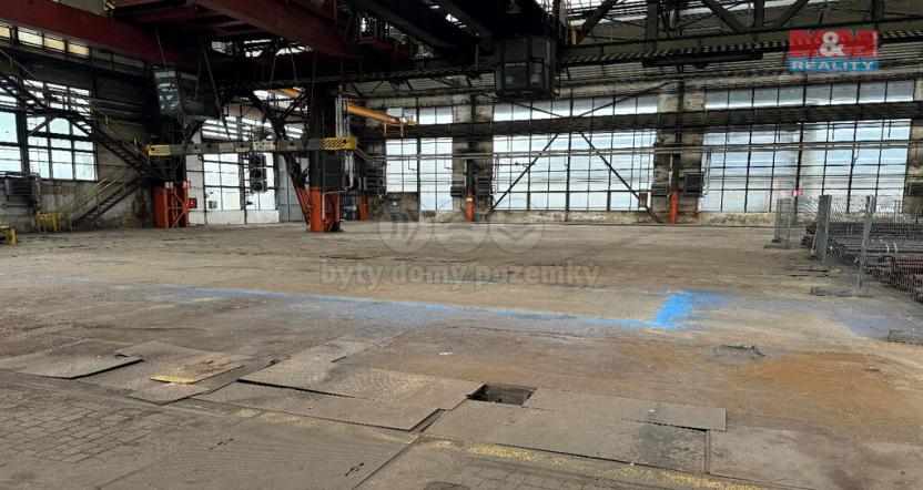 Pronájem výrobních prostor, Ostrava - Vítkovice, Zalužanského, 8500 m2