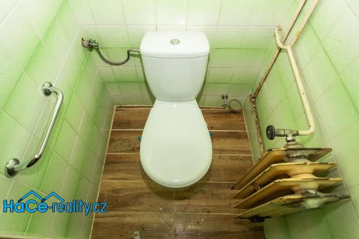 Prodej rodinného domu, Nový Ples, 320 m2