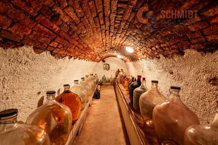 Prodej rodinného domu, Lednice, Pekařská, 1168 m2