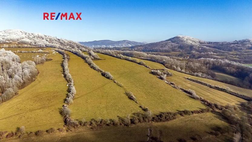 Prodej pozemku pro bydlení, Horní Police, 2413 m2