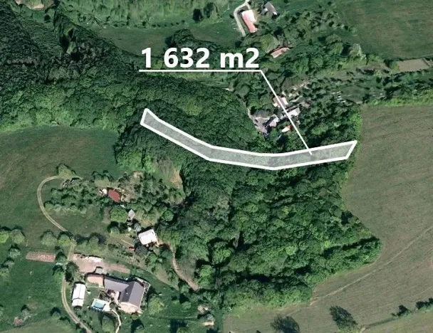 Prodej lesa, Březůvky, 1632 m2