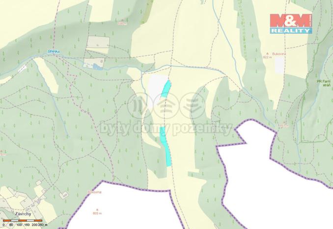 Prodej louky, Machov, 10746 m2