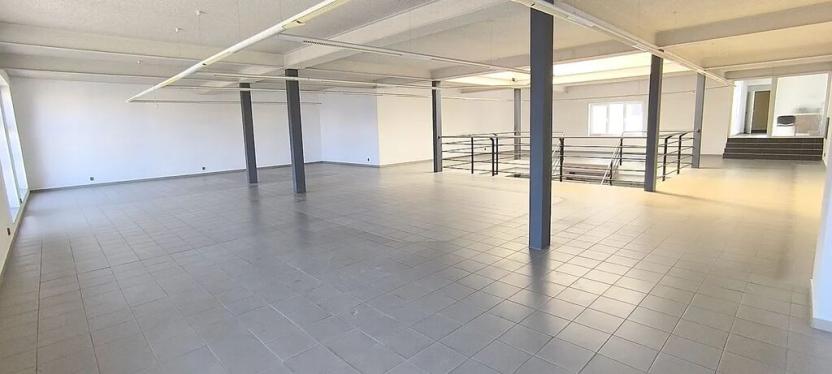 Pronájem obchodního prostoru, Cheb, Dyleňská, 826 m2
