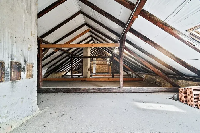 Prodej vícegeneračního domu, Brno, Franzova, 3164 m2