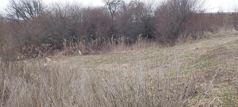 Prodej pozemku, Kyšice, Pražská, 308 m2