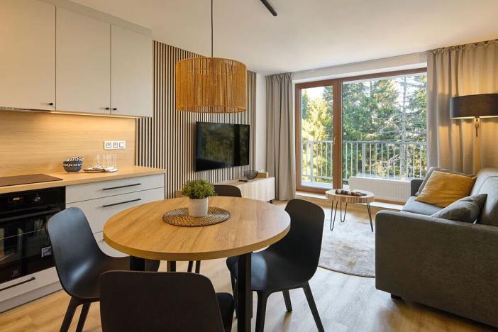 Prodej bytu 1+kk, Loučná pod Klínovcem, 32 m2