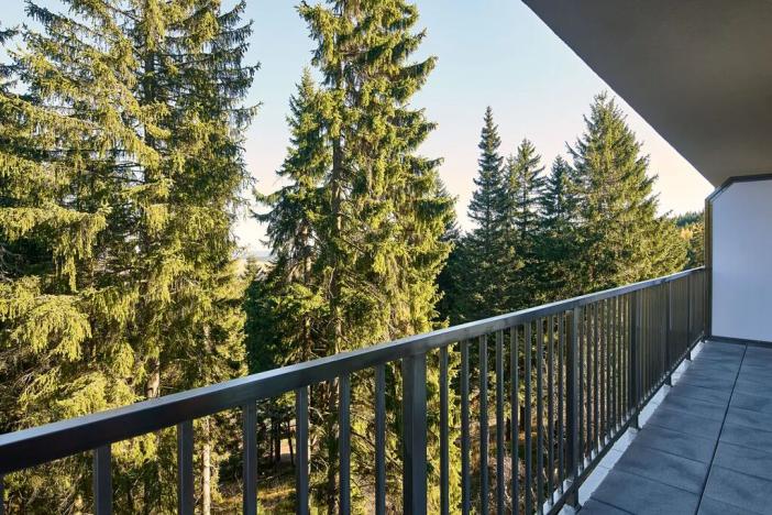 Prodej bytu 4+kk, Loučná pod Klínovcem, 94 m2