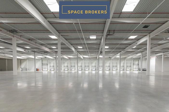 Pronájem skladu, Velké Albrechtice, 69000 m2