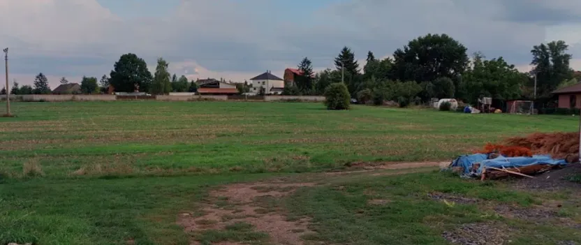 Prodej pole, Nové Dvory, 5253 m2