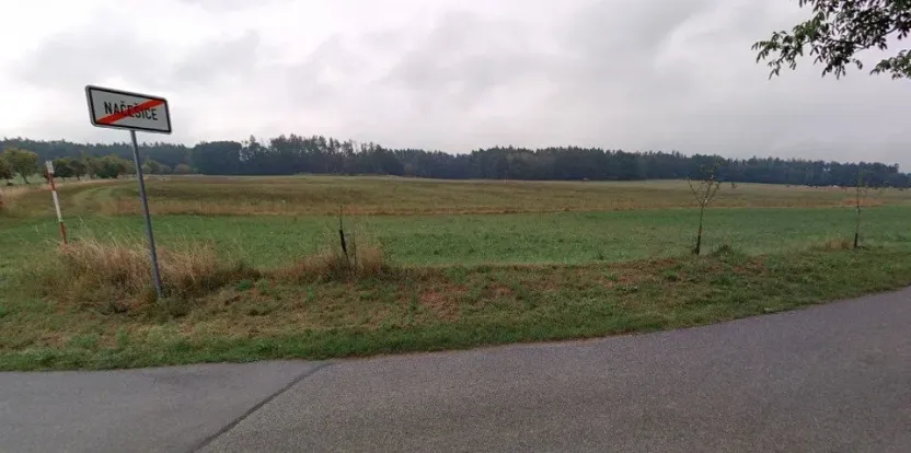 Prodej pole, Načešice, 12430 m2